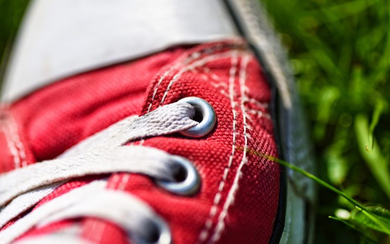 Pieter Schoen Vriendin, Carrière en zijn vermogen