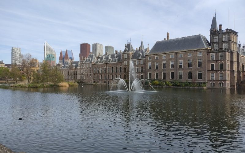 Ronald Plasterk Vermogen, Miljonair, Partner en meer weetjes