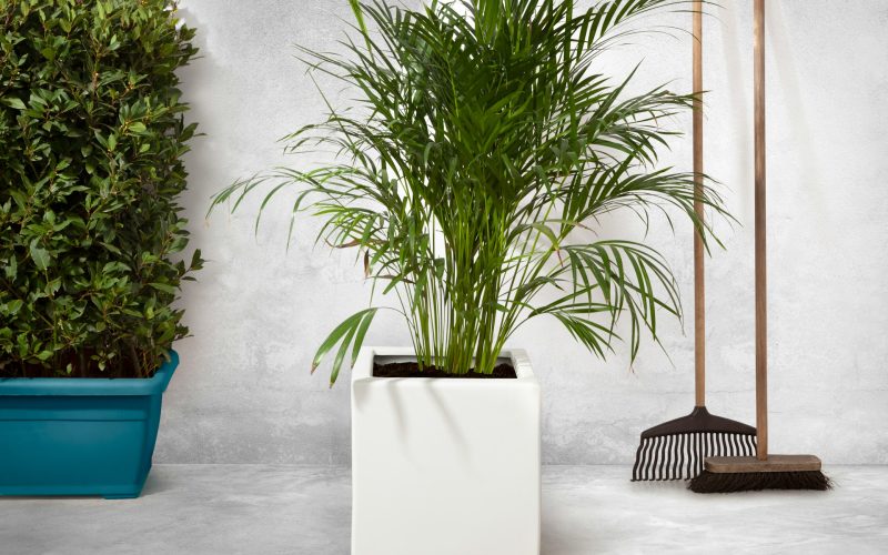 Hoe maak je van je tuin een plek waar je het hele seizoen wilt zijn